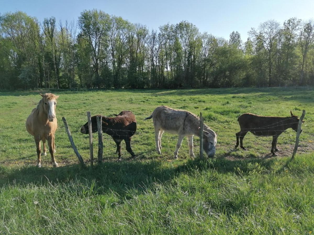 Chambre D'Hotes Esprit De Famille Landreville Exteriér fotografie